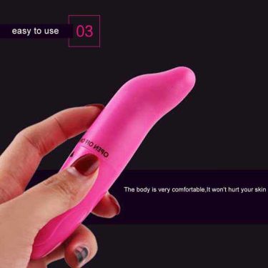 Rose Red Mini Dolphin Vibrator For Woman G Spot Stimulator